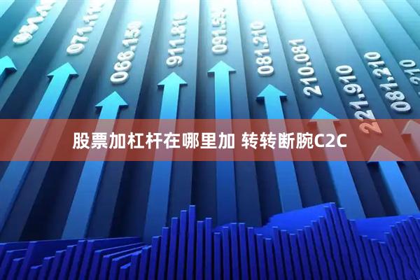 股票加杠杆在哪里加 转转断腕C2C