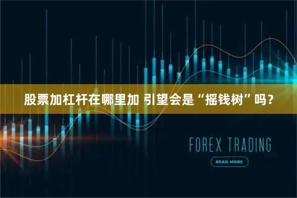 股票加杠杆在哪里加 引望会是“摇钱树”吗？
