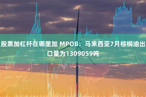 股票加杠杆在哪里加 MPOB：马来西亚7月棕榈油出口量为1309059吨