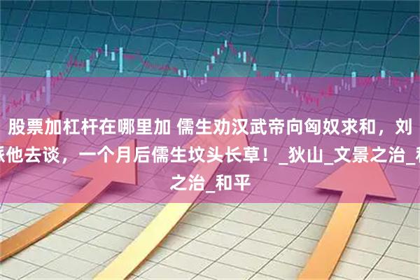 股票加杠杆在哪里加 儒生劝汉武帝向匈奴求和，刘彻派他去谈，一个月后儒生坟头长草！_狄山_文景之治_和平