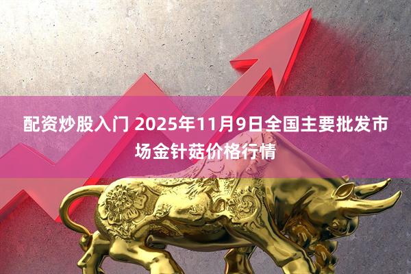 配资炒股入门 2025年11月9日全国主要批发市场金针菇价格行情