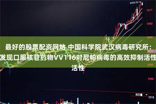 最好的股票配资网站 中国科学院武汉病毒研究所：发现口服核苷药物VV116对尼帕病毒的高效抑制活性
